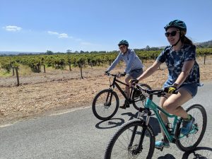 Adelaide’s Wine Regions